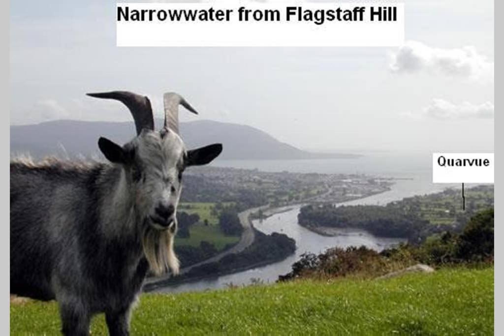Quarvue Farmhouse, Unique House With Views Of Mournes And Cooleys O Meith Eksteriør billede